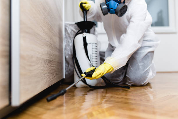Best Best Pest Control Companies  in Hopatcong, NJ