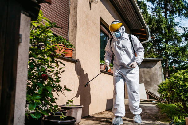 Wildlife Control Services in Hopatcong, NJ