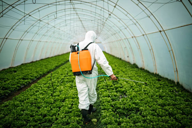 Best Commercial Pest Control Services  in Hopatcong, NJ