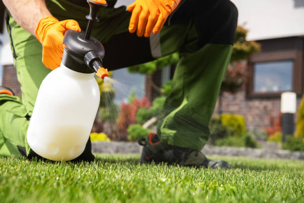 Best Spider Control Near Me  in Hopatcong, NJ