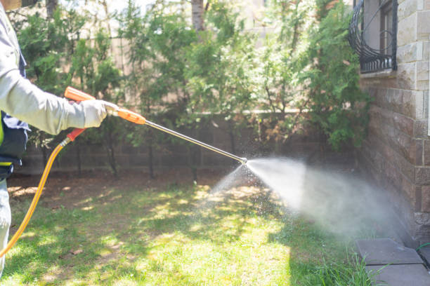 Best Wasp Removal Services  in Hopatcong, NJ
