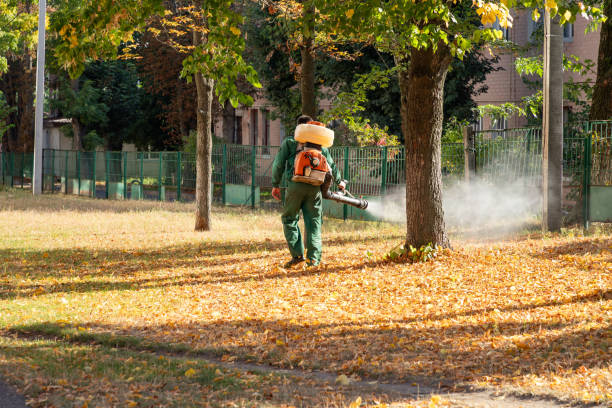Best Flea Control Services  in Hopatcong, NJ