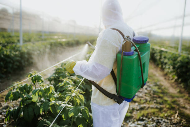 Pest Prevention Services in Hopatcong, NJ
